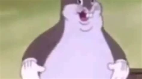 Big Chungus: Video Gallery .